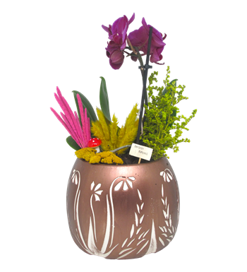 Mini Orkide Dekoratif Seri 2