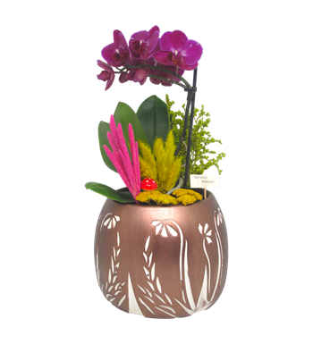 Mini Orkide Dekoratif Seri 2