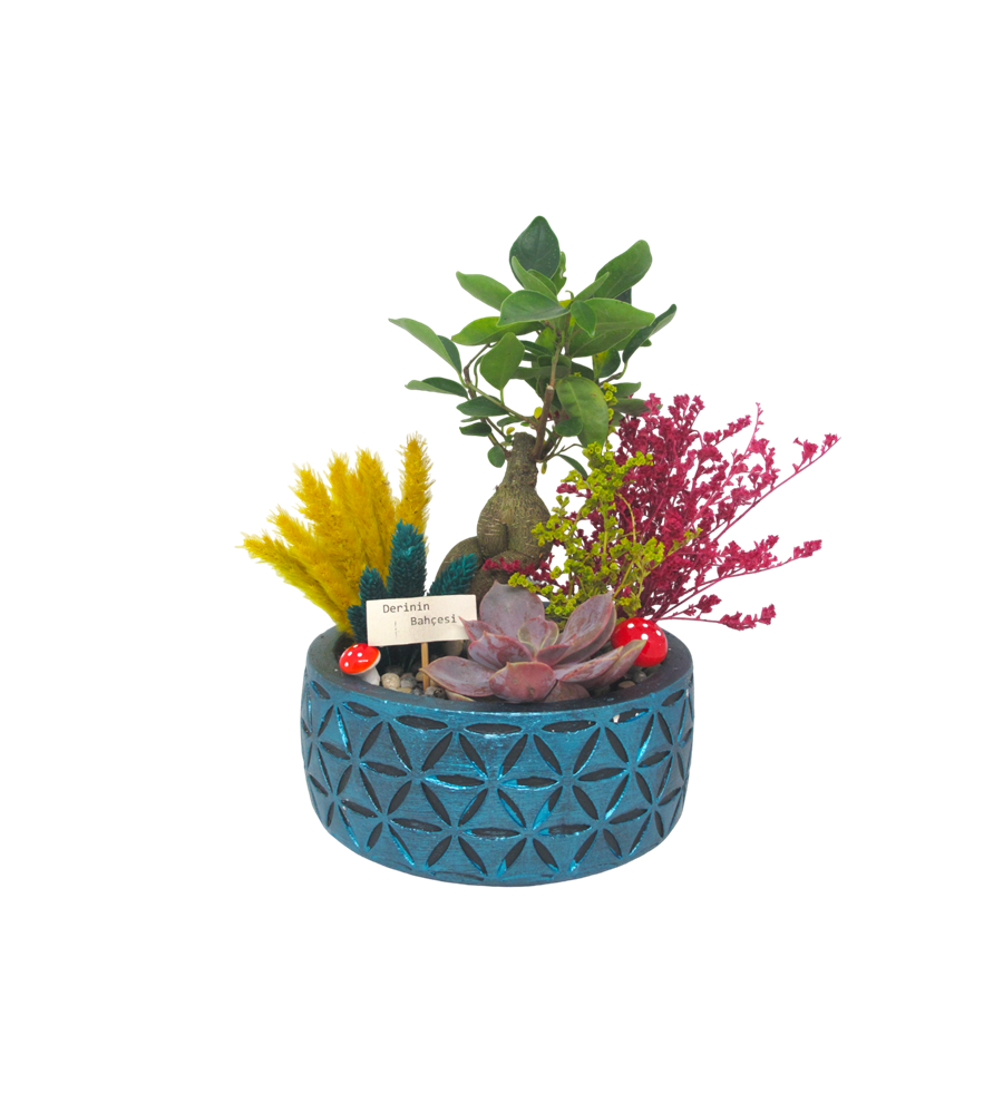 Bonsai ve Echeveria Bahar Bahçesi