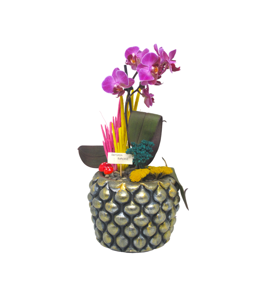 Mini Orkide Desen Serisi