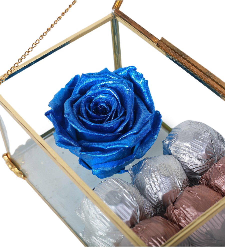 Gold Ayaklı Cam Kutuda Solmayan Metalik Parlament Mavi ve Çikolata