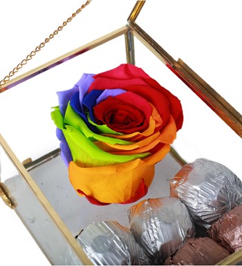 Gold Ayaklı Cam Kutuda Solmayan Rainbow Gül  ve Çikolata