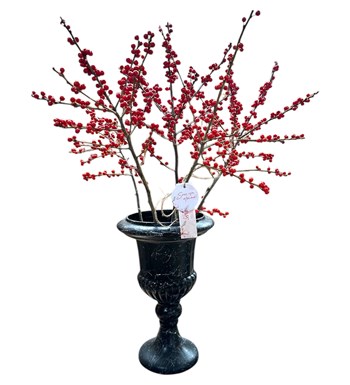 Yılbaşı Çiçeği: Ilex Aranjmanı