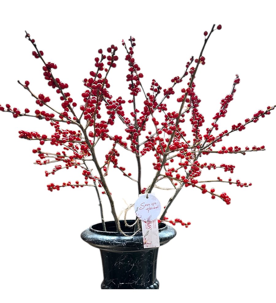 Yılbaşı Çiçeği: Ilex Aranjmanı