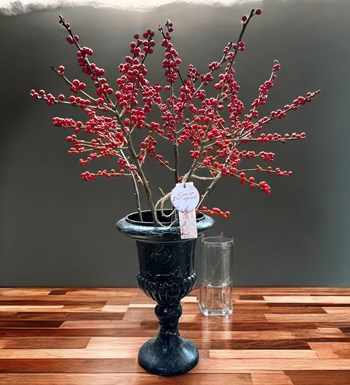 Yılbaşı Çiçeği: Ilex Aranjmanı