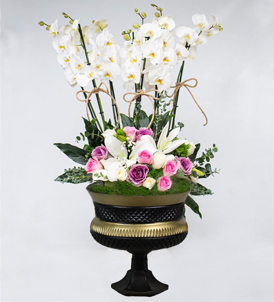 Orkidelik Vazoda 6 Dal Beyaz Orkide