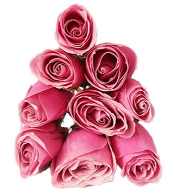 Lilyana Flowers - Şeffaf Çantada Pembe Gül Buketi