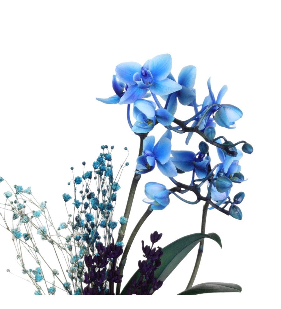 Anneler Günü Özel Seri 2 Dal Mavi Orkide ve Pembe Solmayan Gül