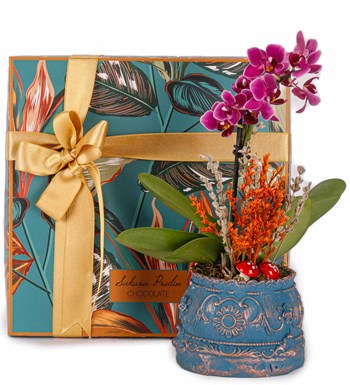 Truff Çikolata Kutusu Ve Barok Orkide Tasarım