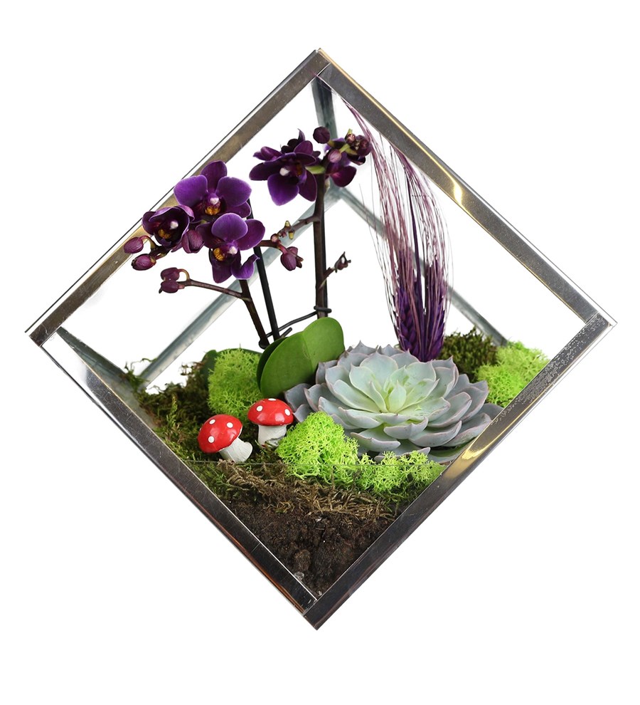 Piramit Cam Mini Orkide Tasarımı