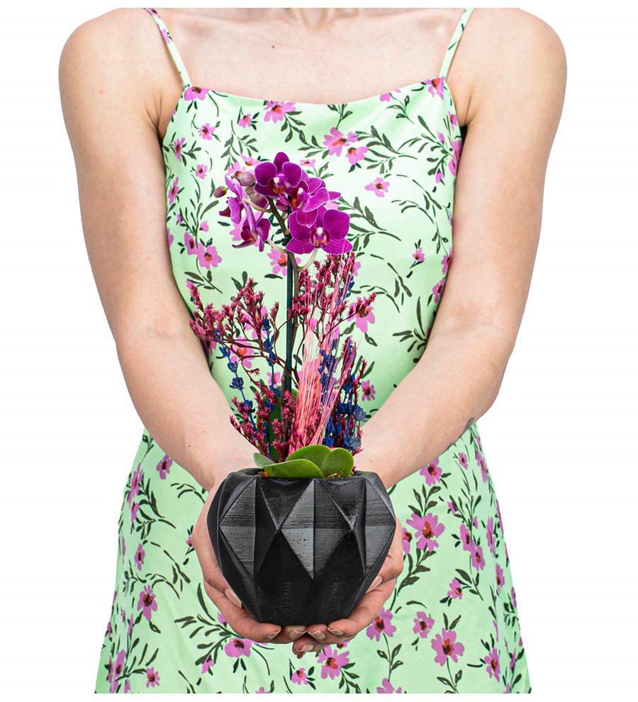 Geometrik Siyah Saksı - Tek Dal Lavantalı Mini Orkide Tasarım